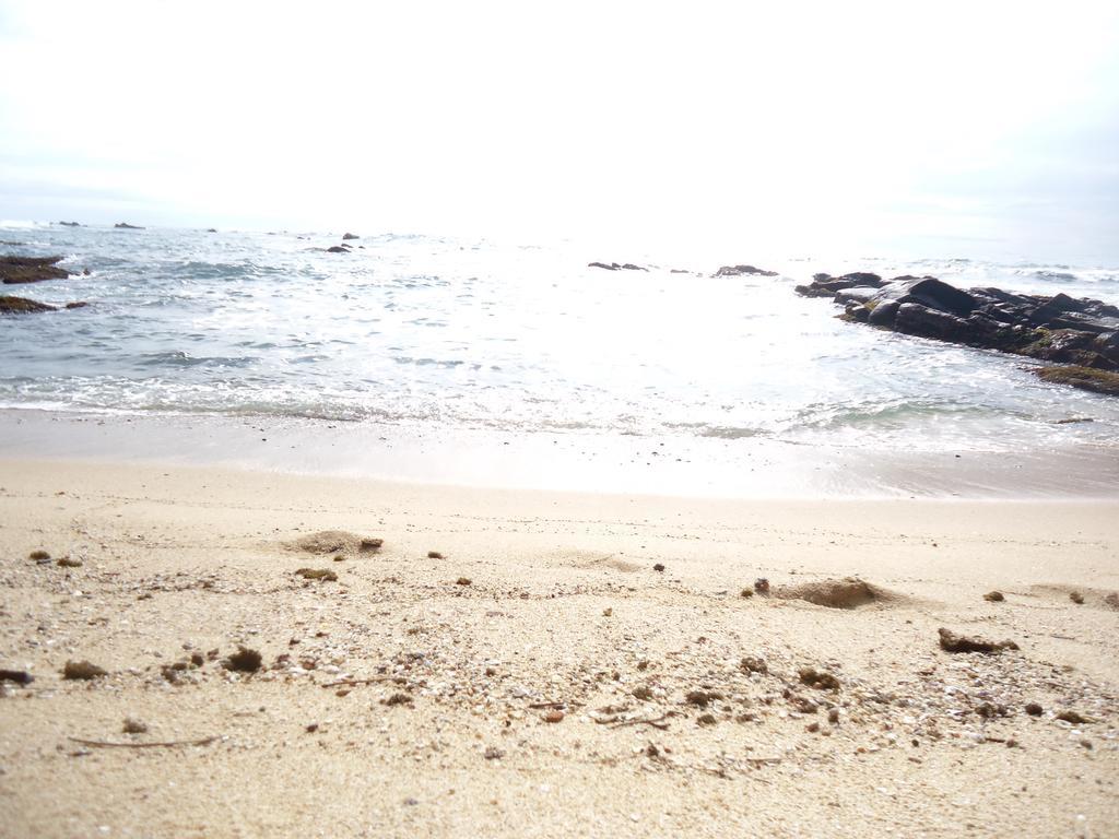 Masha Beach Inn Tangalle Extérieur photo