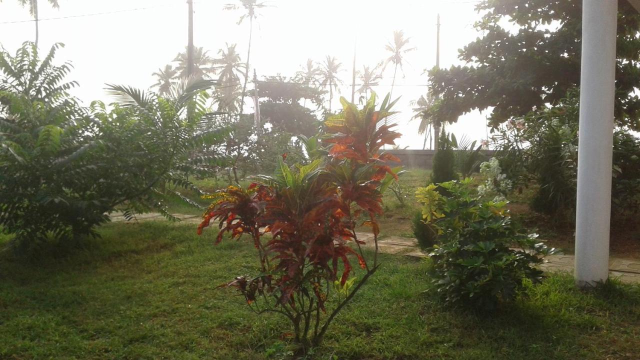 Masha Beach Inn Tangalle Extérieur photo